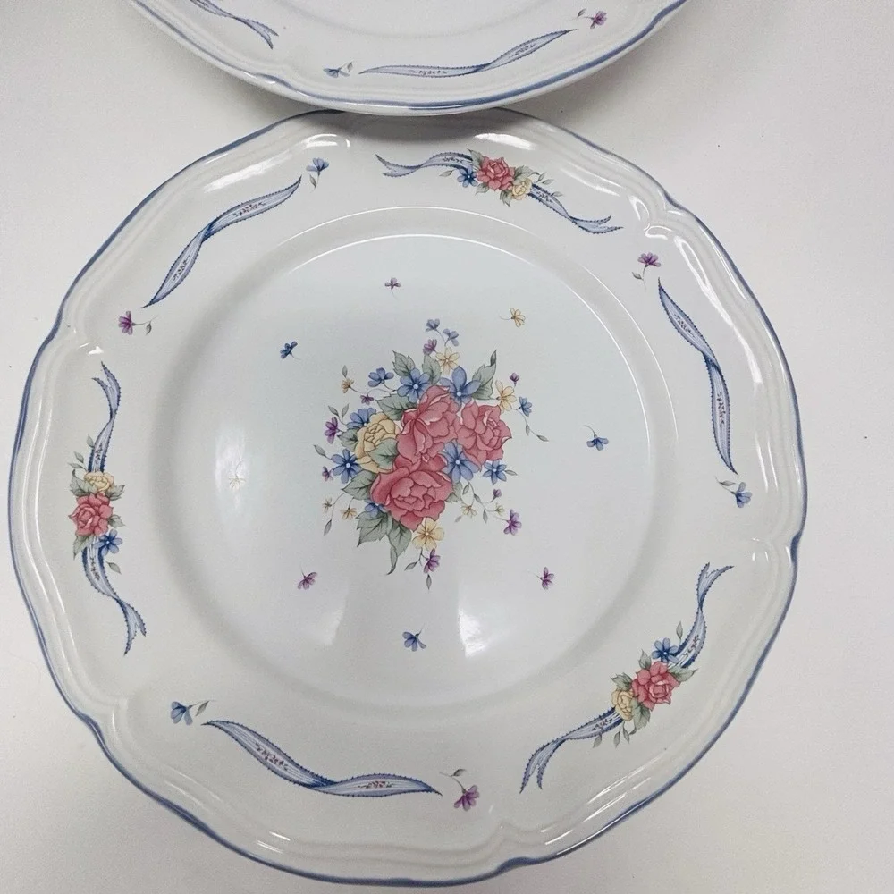 Vintage Casual Spring Garden Dinner Plates 10.5